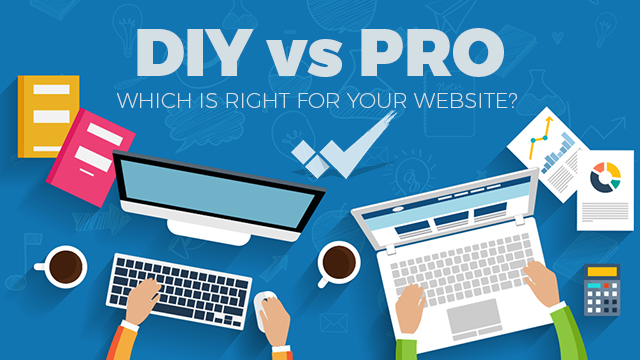 DIY vs PRO Which is Right for Your Website